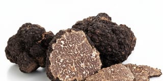 Fresh Black Winter Périgord Truffles - image 1
